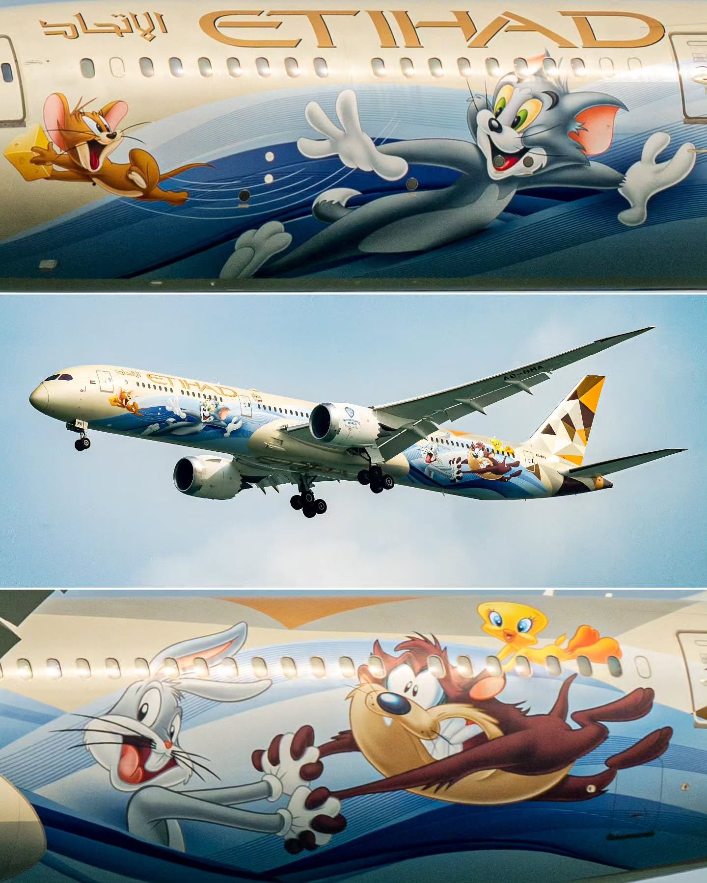 Can I change the Name on my Etihad ticket?