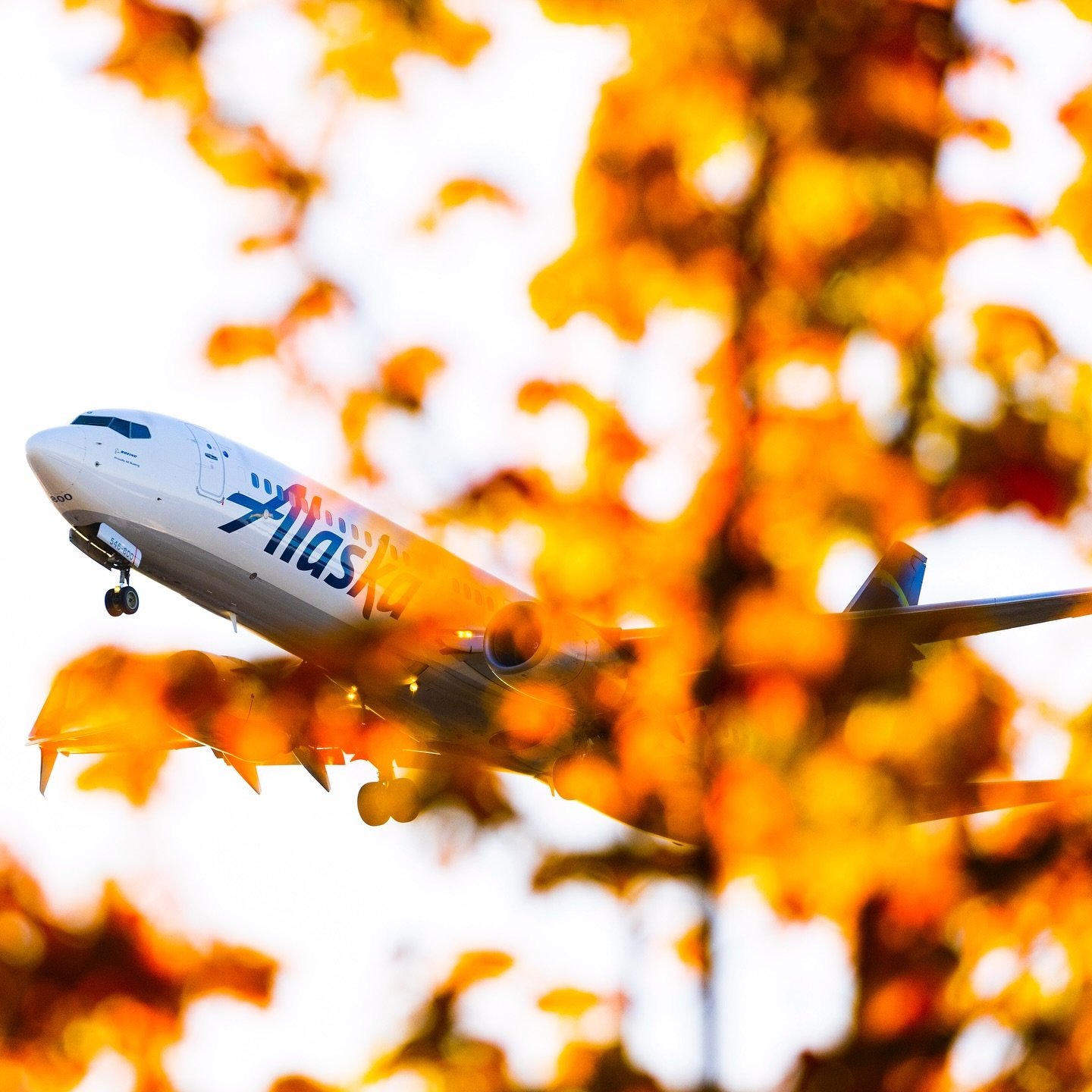 How to Change Name on Alaska Ticket Reservation