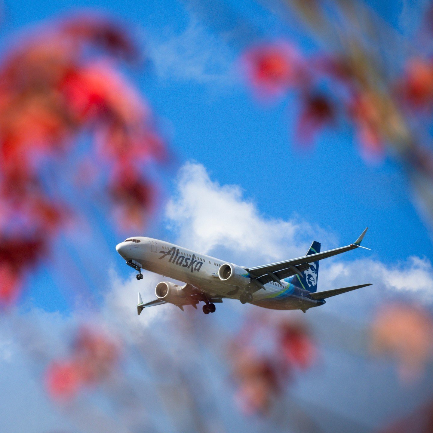 Change Name on Alaska Flight Booking